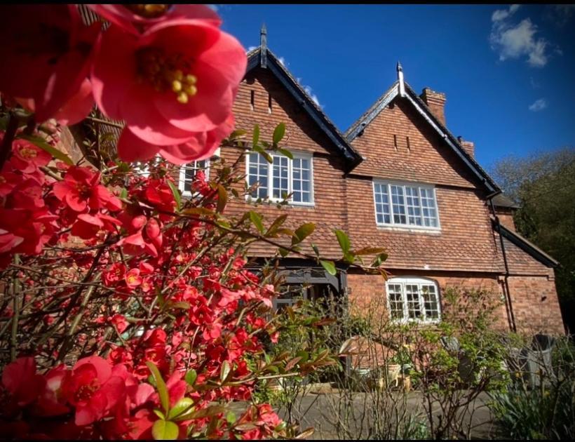 Stockton-on-Teme The Old Rectory - Valley View Room In Private Home المظهر الخارجي الصورة